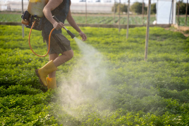 Best Pest Control Near Me in Morris, IL