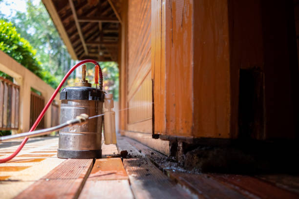 Best Best Pest Control Companies  in Morris, IL