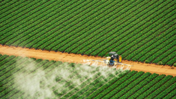 Reliable Morris, IL Pest Control Solutions